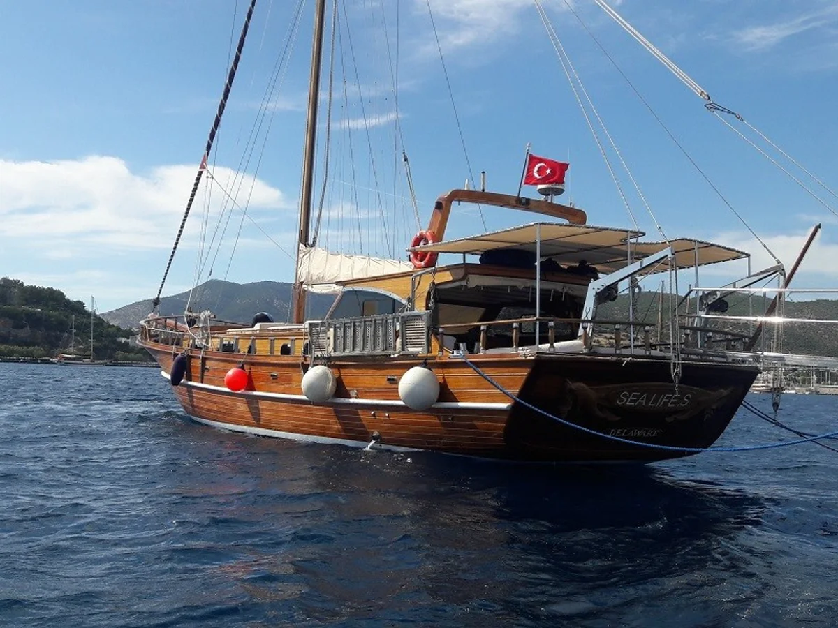 Gulet Sea Life